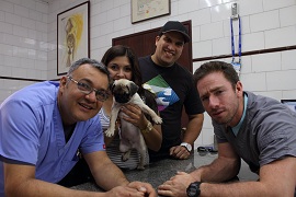 Consulta