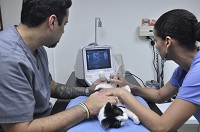 Imagenologia